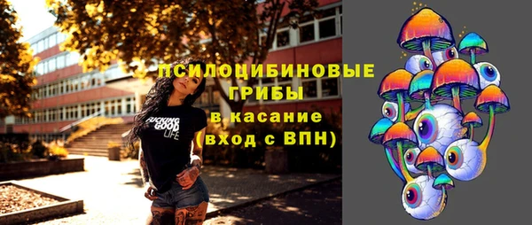 Альфа ПВП Беломорск